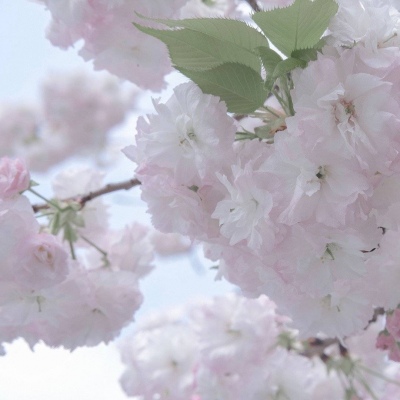 舞钢FurryQQ群介绍